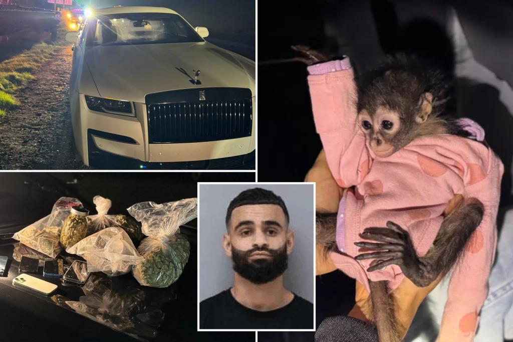 California police find spider monkey in front seat during DUI traffic stop