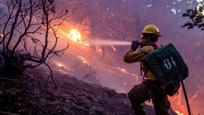 California wildfires: Essential phone numbers for Los Angeles-area residents and how you can help them