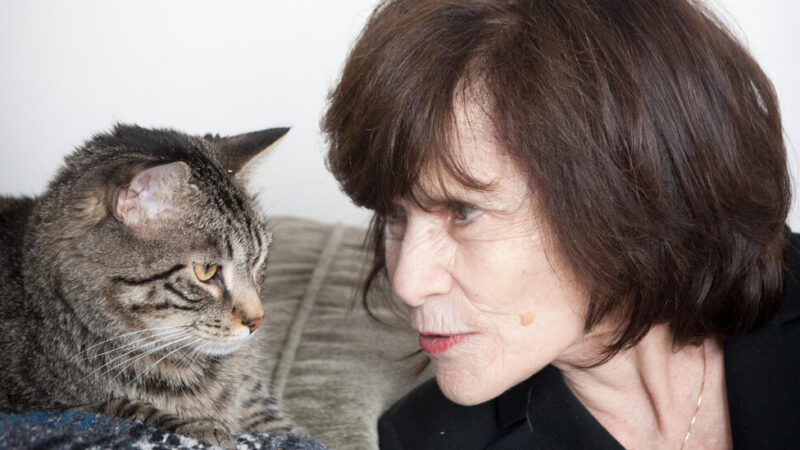 Carole Wilbourn, Who Put Cats on the Couch, Dies at 84