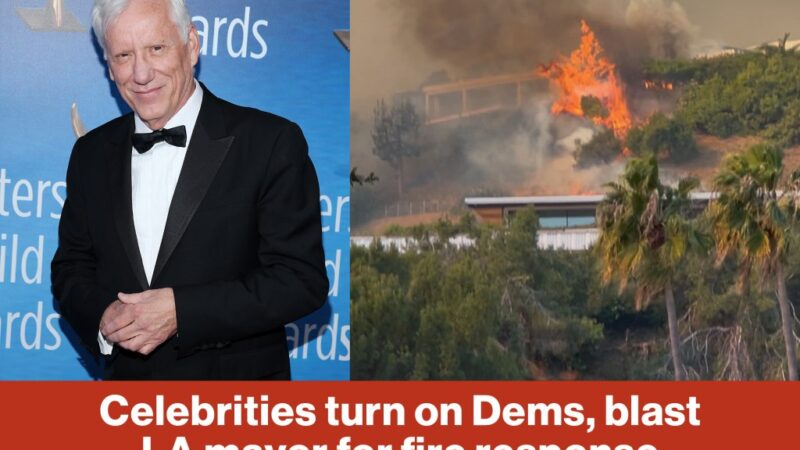 Celebrities turn on Dems, blast LA mayor for fire response (Video)