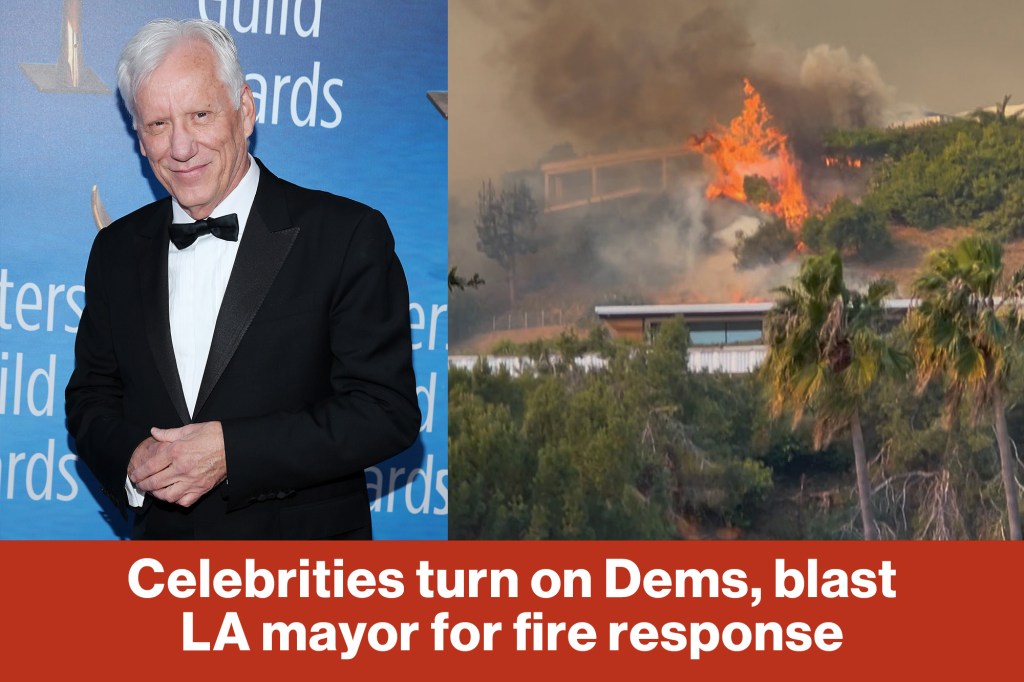 Celebrities turn on Dems, blast LA mayor for fire response (Video)