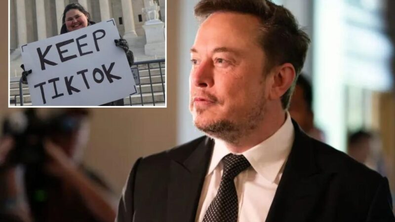 China mulls potential sale of TikTok US to Elon Musk: report