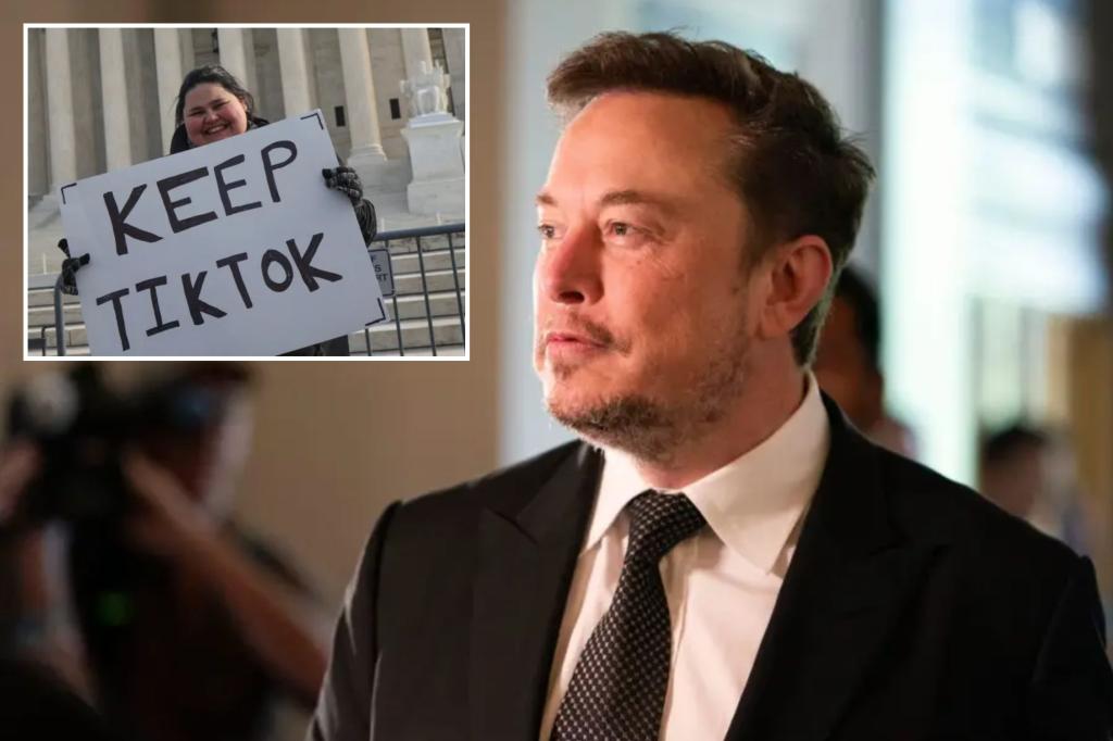 China mulls potential sale of TikTok US to Elon Musk: report