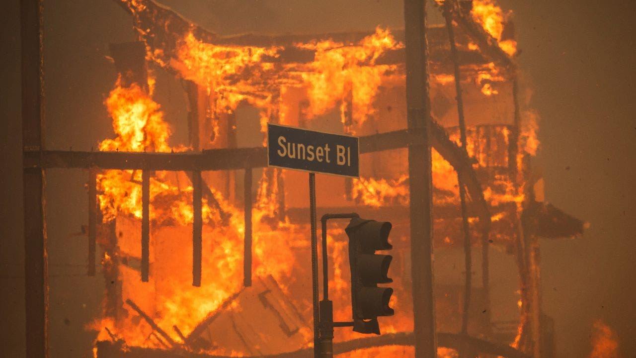 DAVID MARCUS: In California, environmental activism backfires into a blazing hellscape