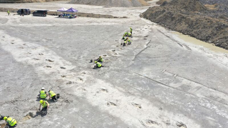 ‘Dinosaur highway’ footprints dating back 166 million years discovered in England