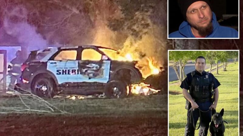 Father and son rescue officer, K-9 from burning car after high-speed chase crash