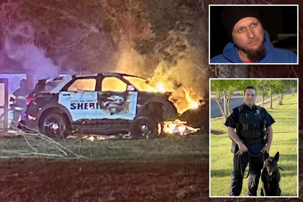 Father and son rescue officer, K-9 from burning car after high-speed chase crash