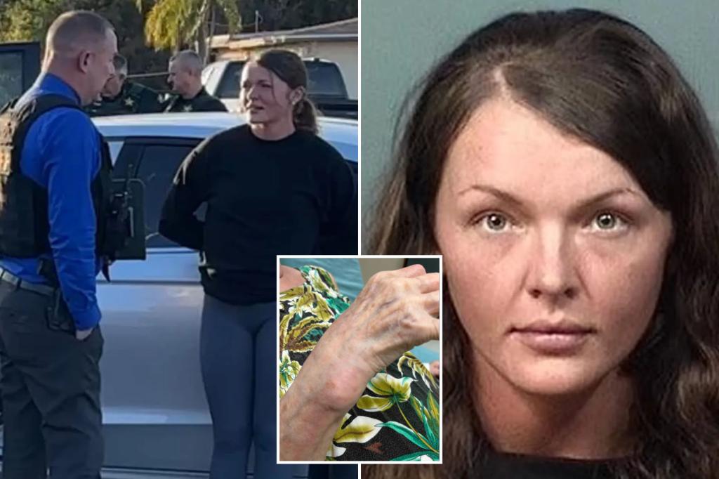 Florida housekeeper, Heather Nelson, arrested robbed and assaulted 83-year-old boss over Christmas bonus