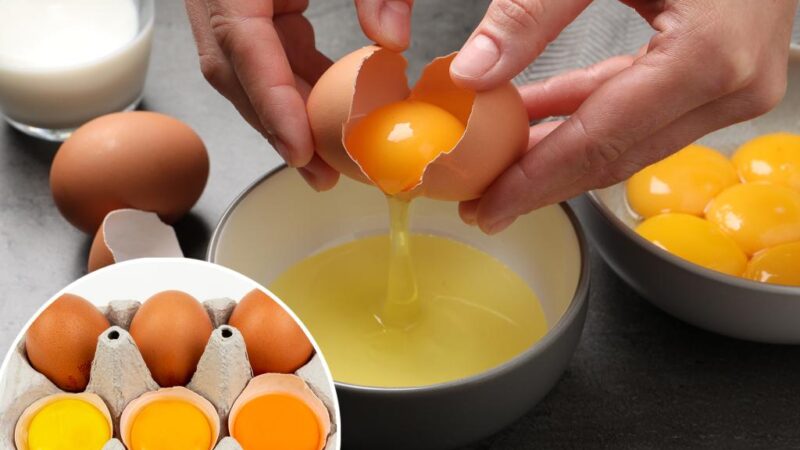 Food scientists reveal what the yolk color says about eggs