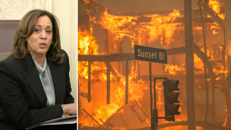 Harris mocked for ‘confusing word salad’ telling LA wildfire victims it’s ‘critically important’ to be patient