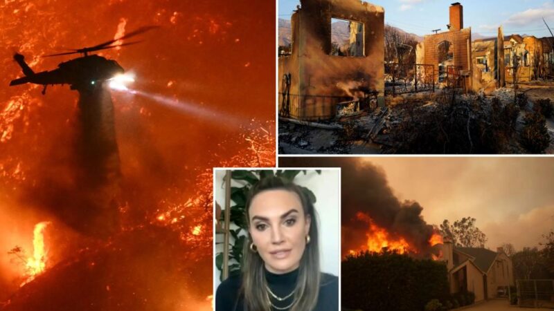 Hollywood actress Elizabeth Chambers calls LA Fires ‘a disaster,’ says not enough was done by elected officials