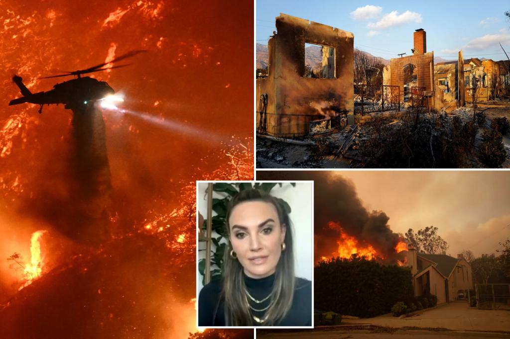 Hollywood actress Elizabeth Chambers calls LA Fires ‘a disaster,’ says not enough was done by elected officials