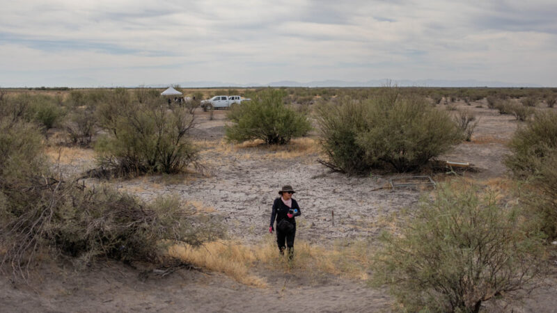 In Mexican Desert, Digging for a ‘Miracle’: Bringing the Missing Back Home