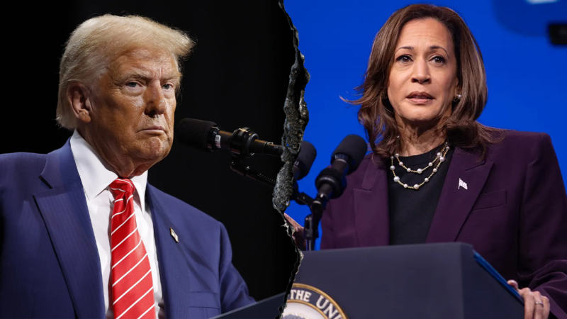 JESSE WATTERS: Of all people, Kamala Harris was the one who made Trump’s win official