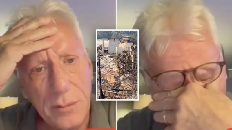 James Woods’ home survives LA fires after he thought he ‘lost it forever’