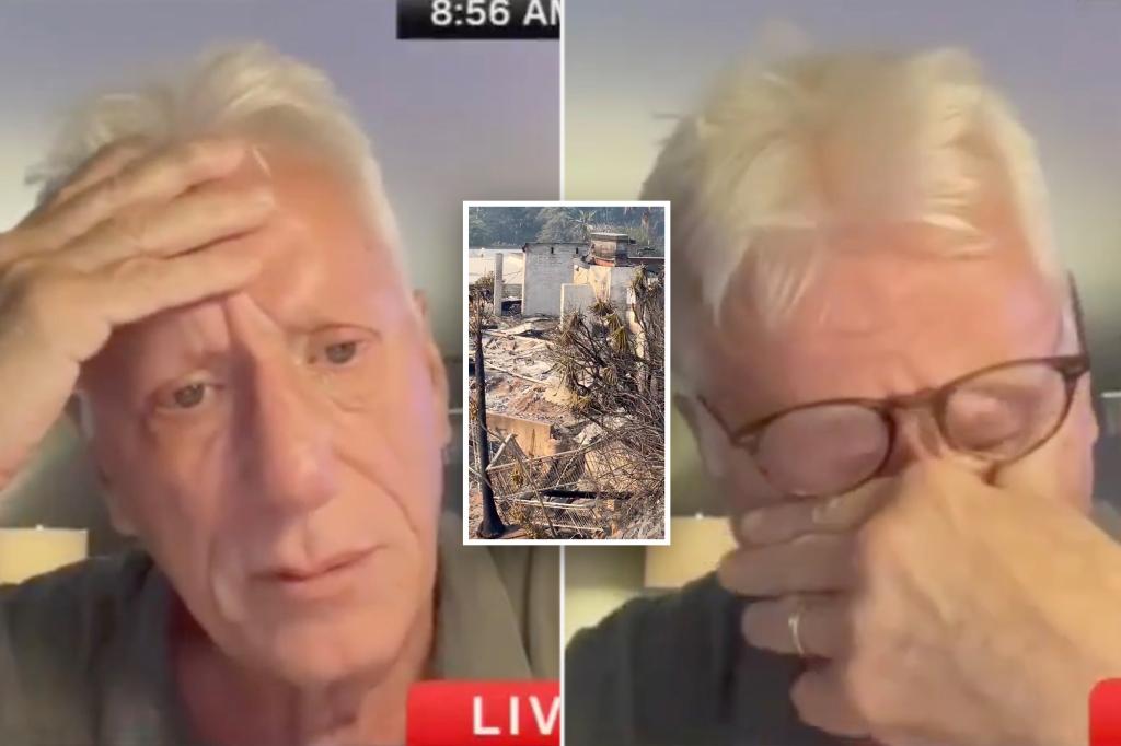 James Woods’ home survives LA fires after he thought he ‘lost it forever’