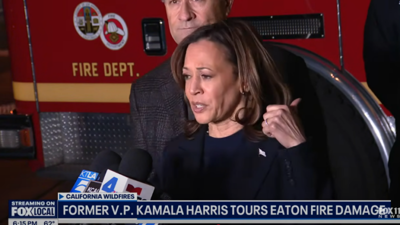 Kamala Harris mocked online for another ‘word salad’ about ‘community’