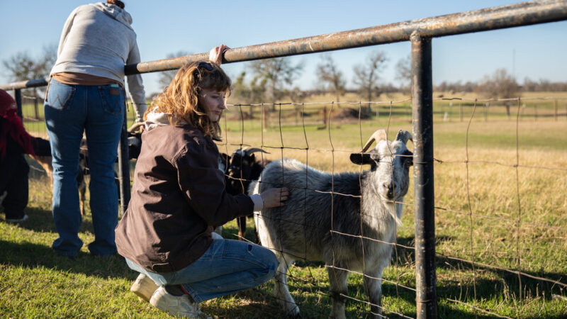 Kennedy’s Plan for the Drug Crisis: A Network of ‘Healing Farms’