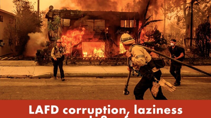 LAFD team tasked with preventing wildfires accused of corruption, laziness before blazes devastated city | Reporter Replay (Video)