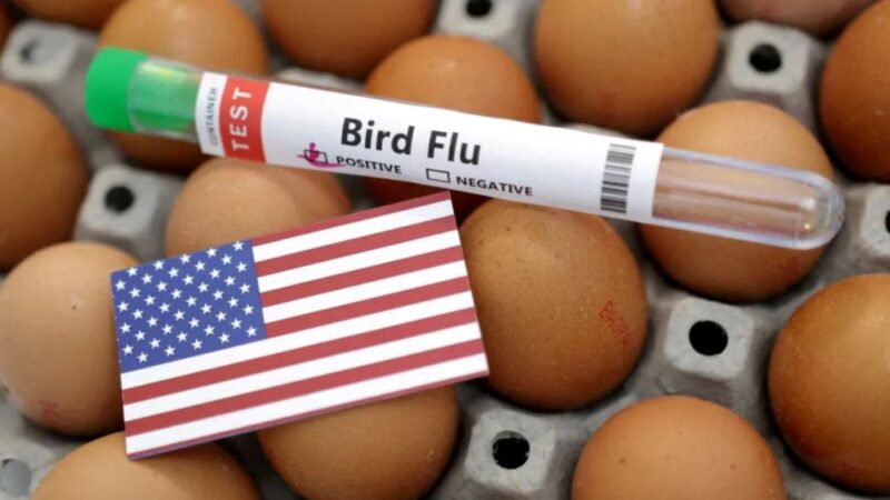 Louisiana person is the first US bird flu death, health officials say