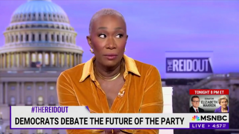 MSNBC’s Joy Reid claims ‘billionaire right’ plotting takeover after wildfires