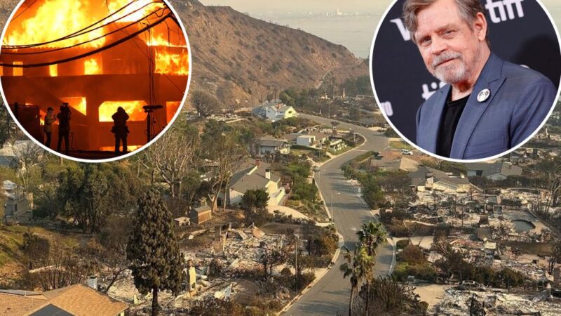 Mark Hamill’s Malibu house survives Palisades Fire