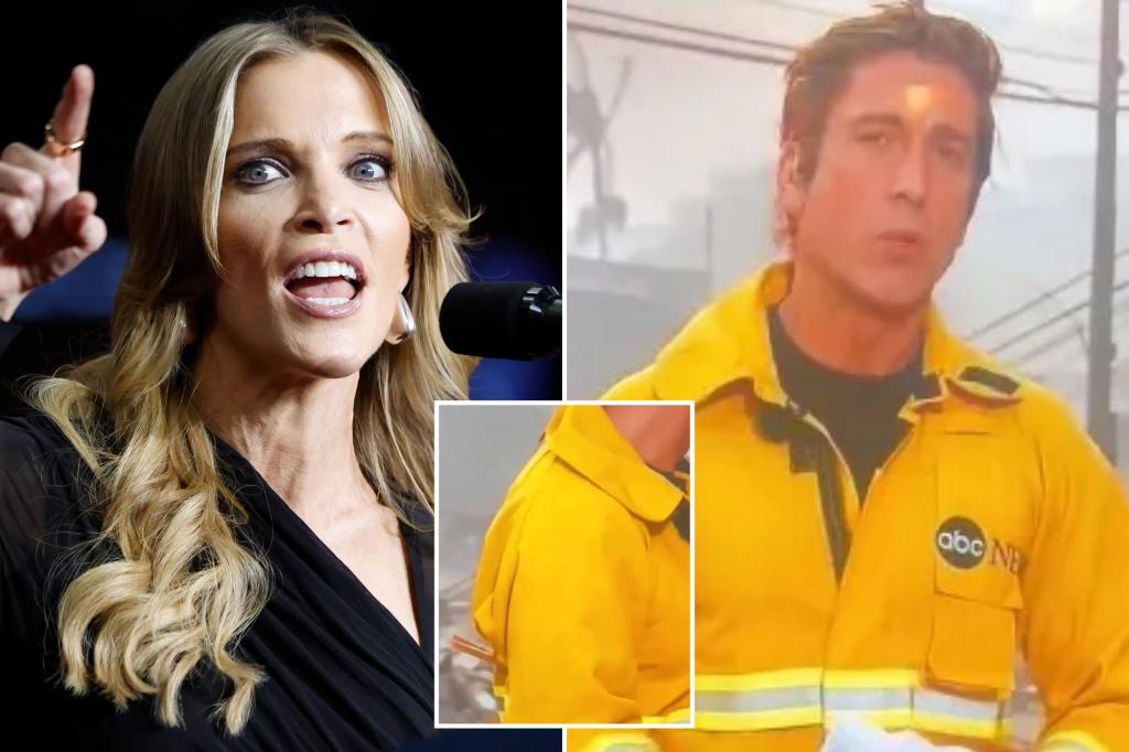 Megyn Kelly slams ABC’s David Muir for ‘playing dress up’ during LA fires