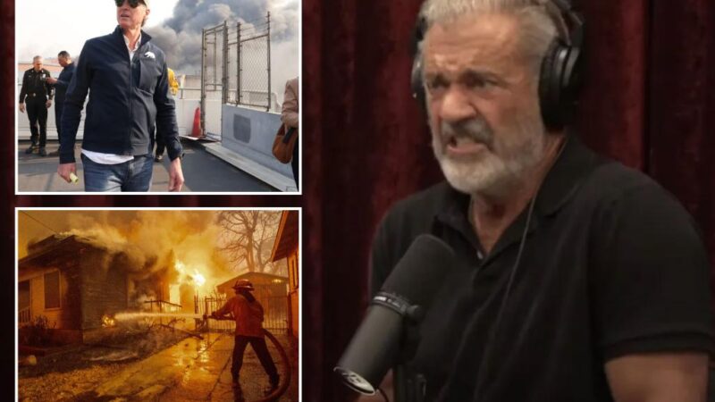 Mel Gibson, Joe Rogan rip into California Gov. Newsom for being unprepared for deadly LA fires