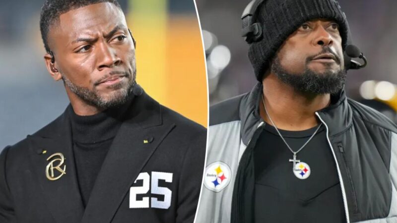 Mike Tomlin should ‘look into’ leaving Steelers: Ryan Clark