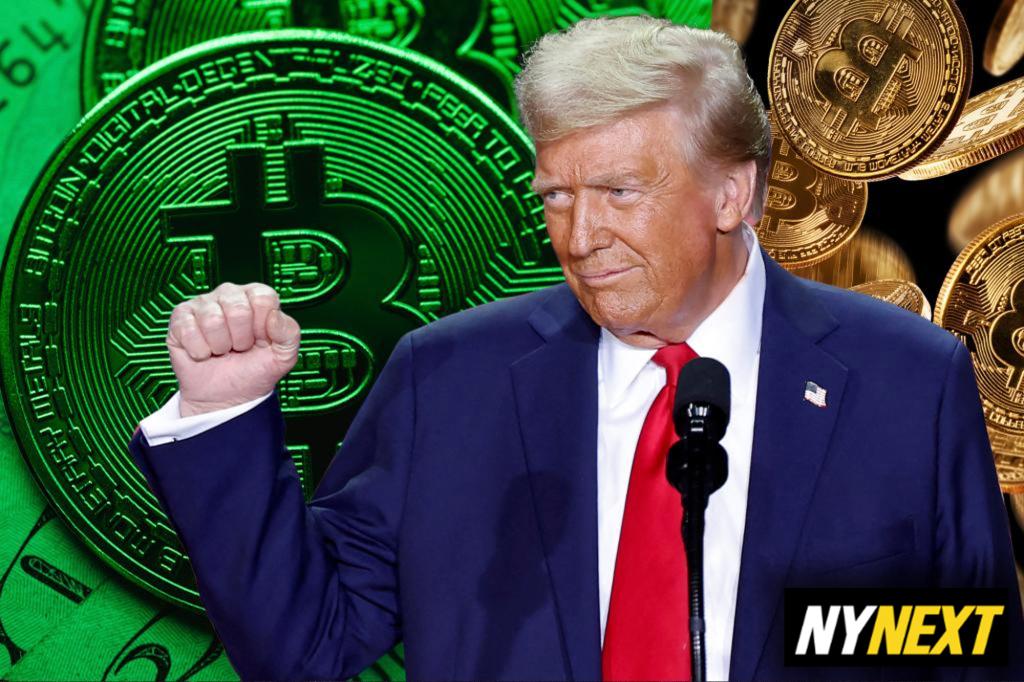 New Trump ends crypto community’s government ‘harassment’