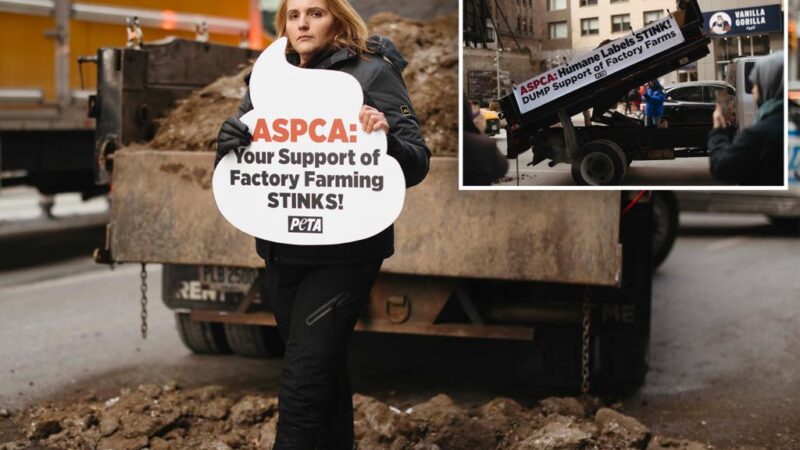 PETA dumped manure in front of ASPCA’s NYC office building