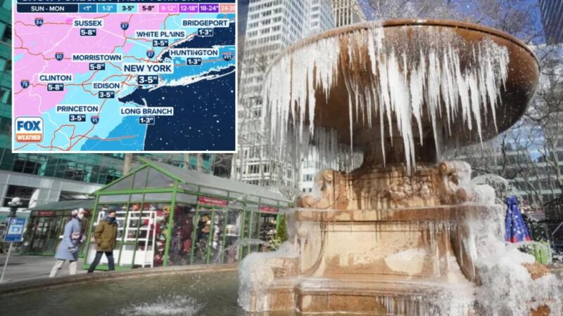 Polar vortex to rock NYC with half foot of snow, brutal cold