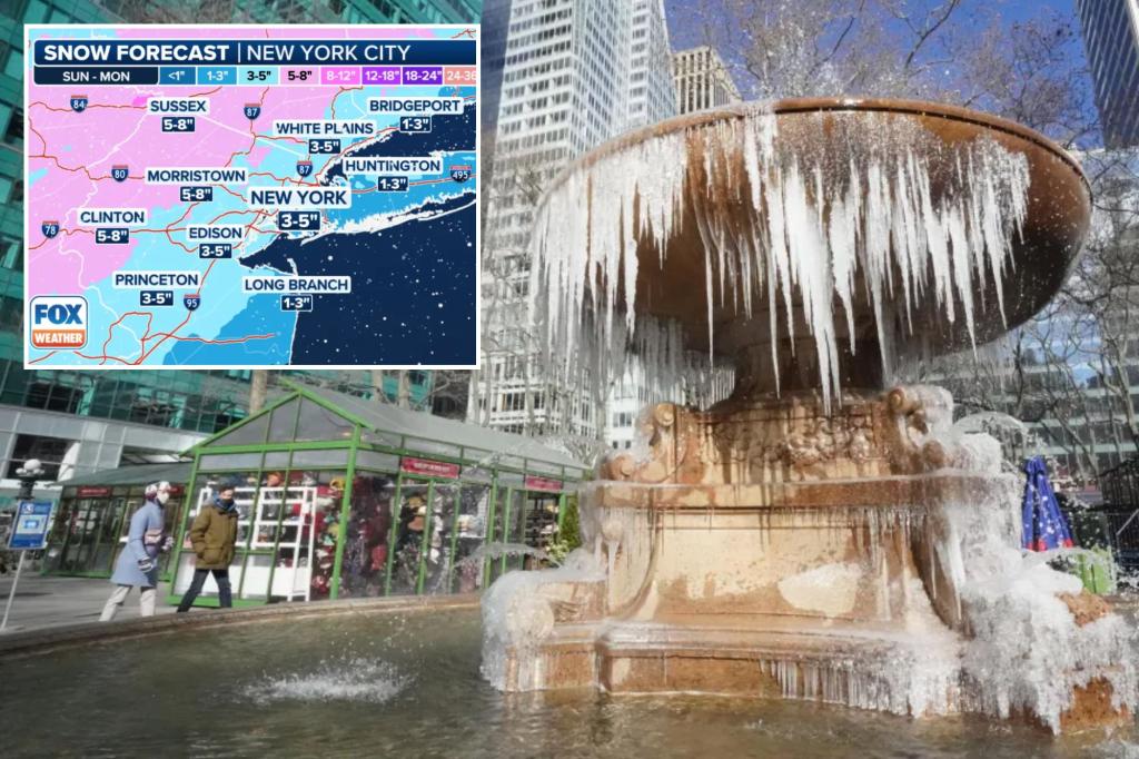 Polar vortex to rock NYC with half foot of snow, brutal cold