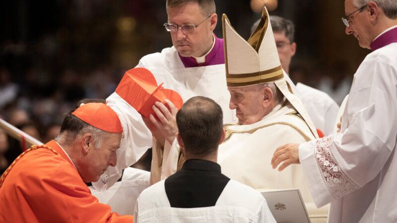 Pope Names Robert McElroy, an Ally on Immigration, as Cardinal in Washington