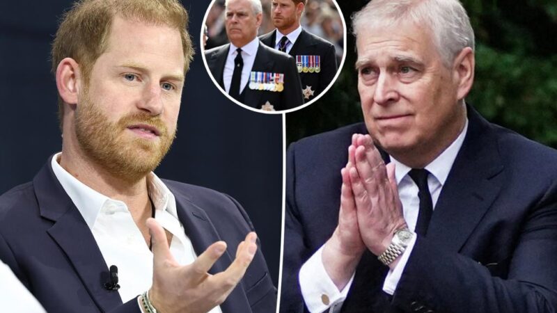 Prince Andrew and Prince Harry’s brutal nicknames given by palace staffers revealed