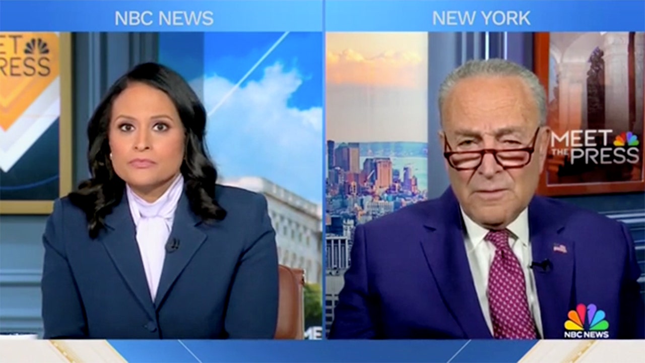 Sen. Schumer confronted with old clip declaring Biden’s decline ‘right-wing propaganda’