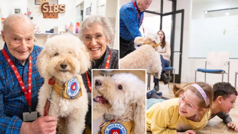 Senior LI power couple, dog spend retirement helping kids