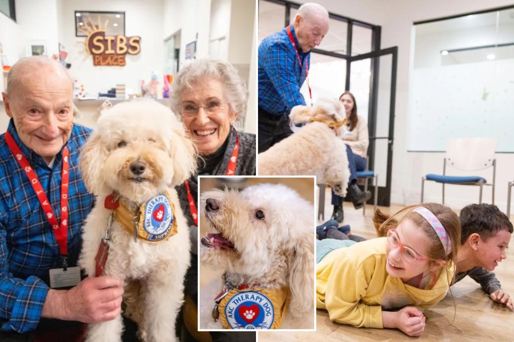 Senior LI power couple, dog spend retirement helping kids