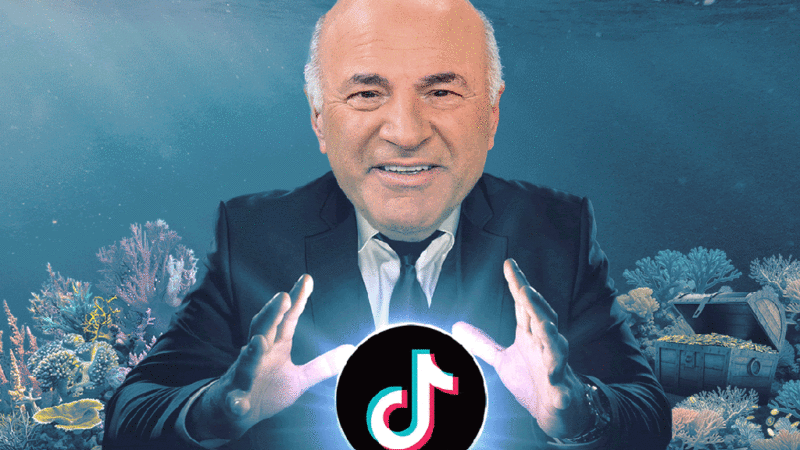 ‘Shark Tank’ star Kevin O’Leary circling to buy TikTok — if Trump can sway China to sell 