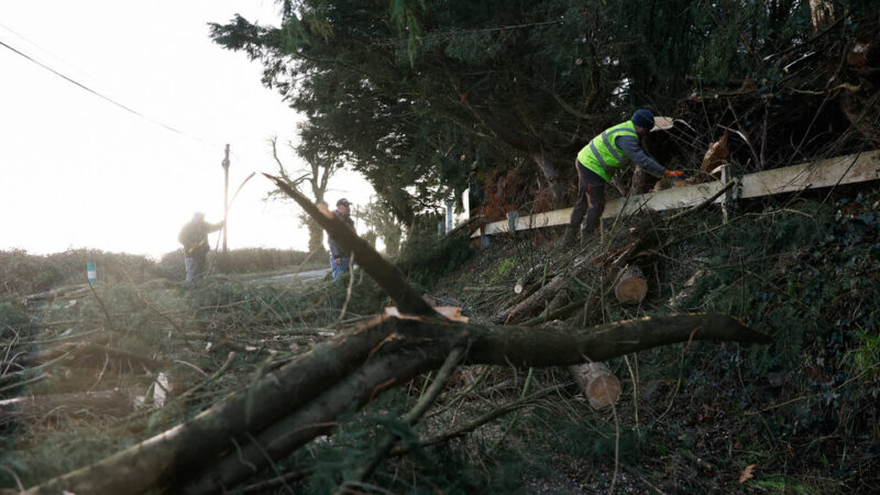 Storm Eowyn Leaves a Third of Ireland Without Power