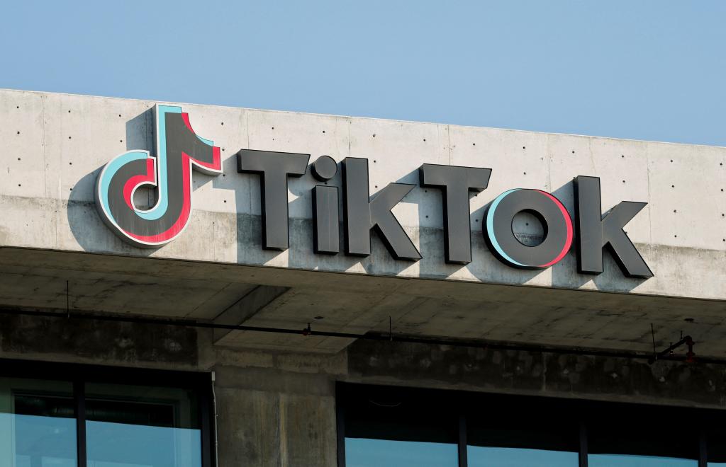 TikTok to go dark for 170M US users after app announces services will be ‘temporarily unavailable’