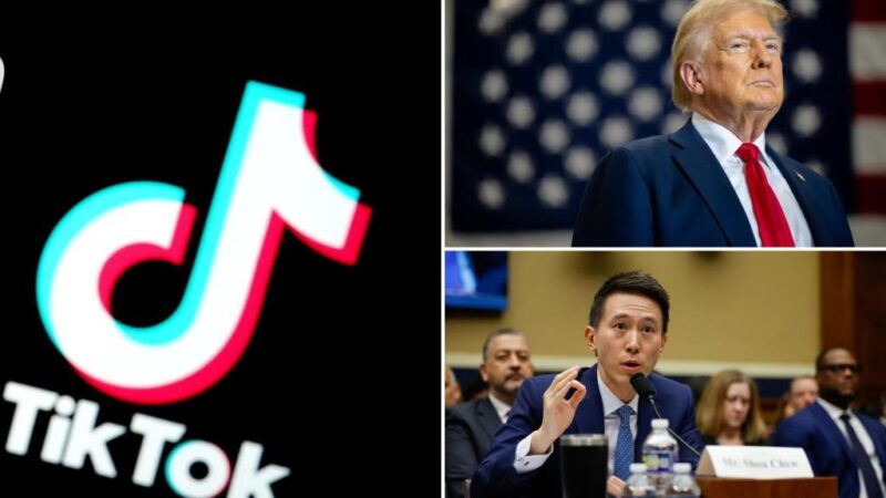 TikTok’s brief shutdown blasted as likely ‘deliberate PR stunt’ to create ‘sense of panic’