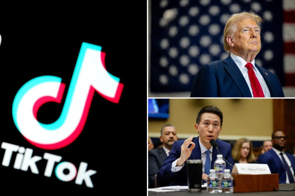 TikTok’s brief shutdown blasted as likely ‘deliberate PR stunt’ to create ‘sense of panic’