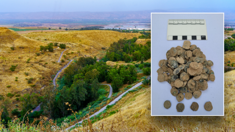 Treasure trove of 160 ancient coins found buried in kitchen