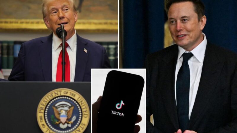 Trump welcomes idea of Elon Musk buying TikTok — if billionaire wants it