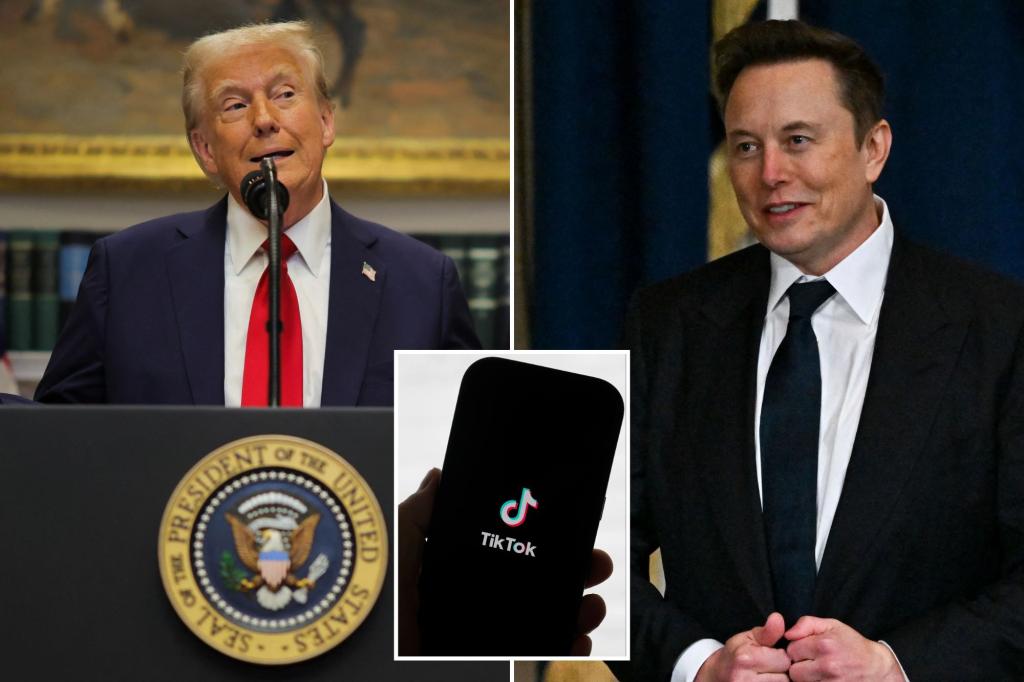 Trump welcomes idea of Elon Musk buying TikTok — if billionaire wants it