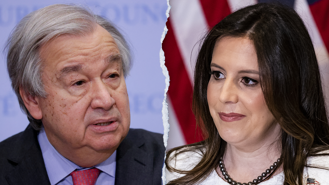 Trump’s UN ambassador pick Elise Stefanik could save taxpayers millions if taps Musk-Ramaswamy ‘DOGE’