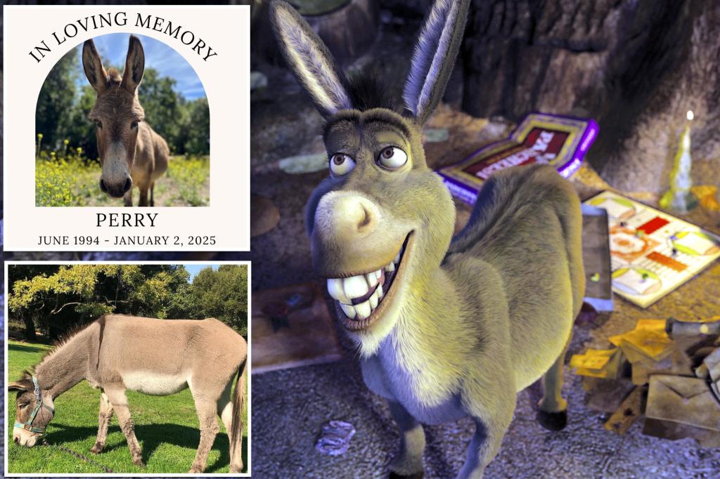 Donkey who inspired Eddie Murphy’s ‘Shrek’ character dies at 30