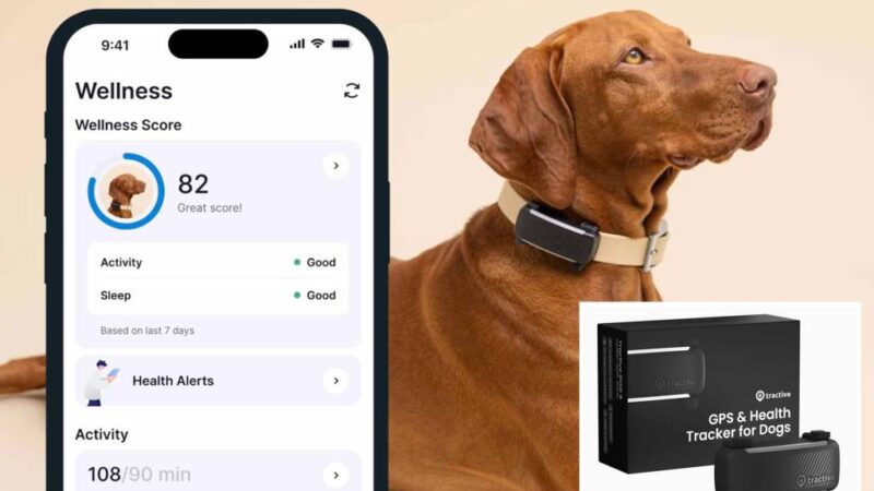 Why is your dog barking? New gadget at CES 2025 can finally tell you