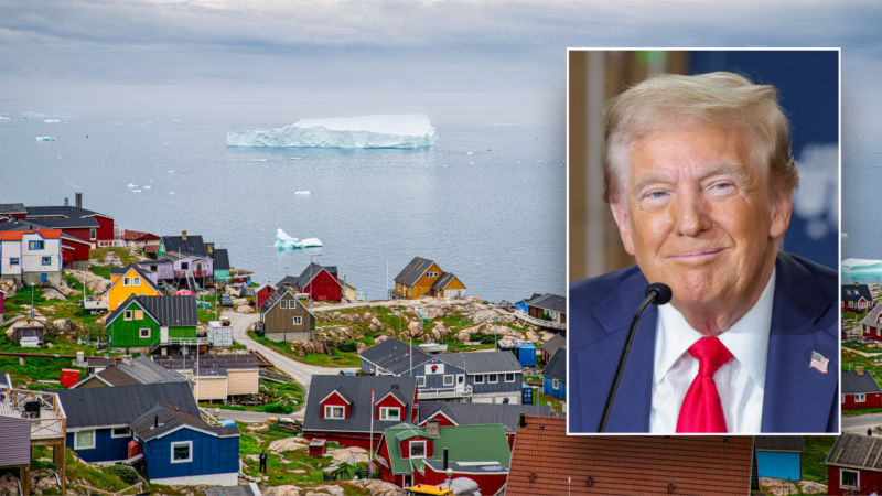 Trump shares amusing video of Greenlander asking him to ‘buy us’ from Denmark